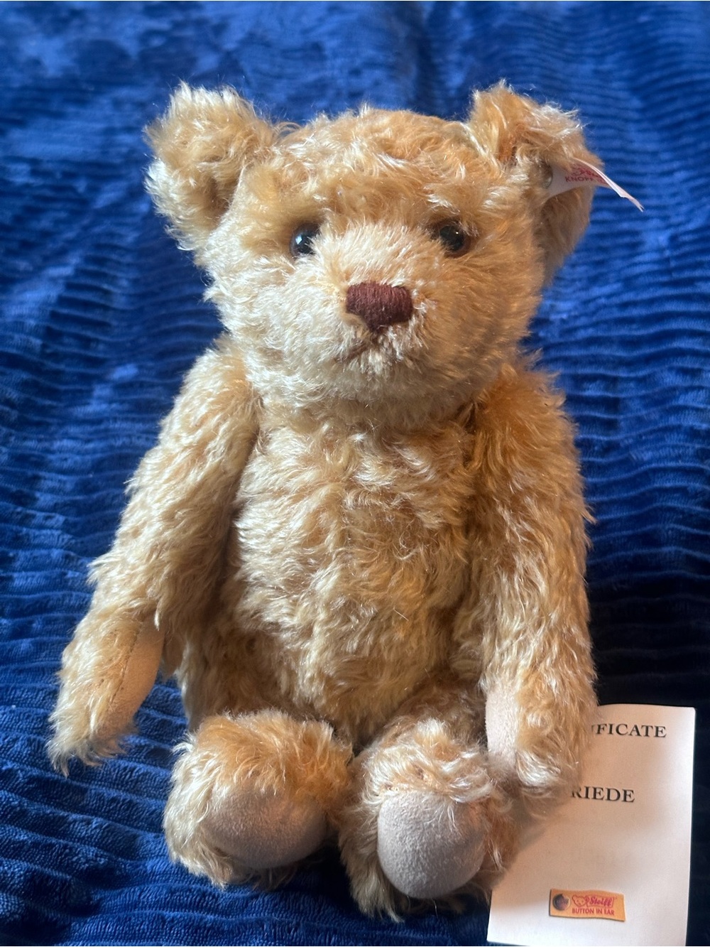 Very rare and collectible Steiff teddy bear